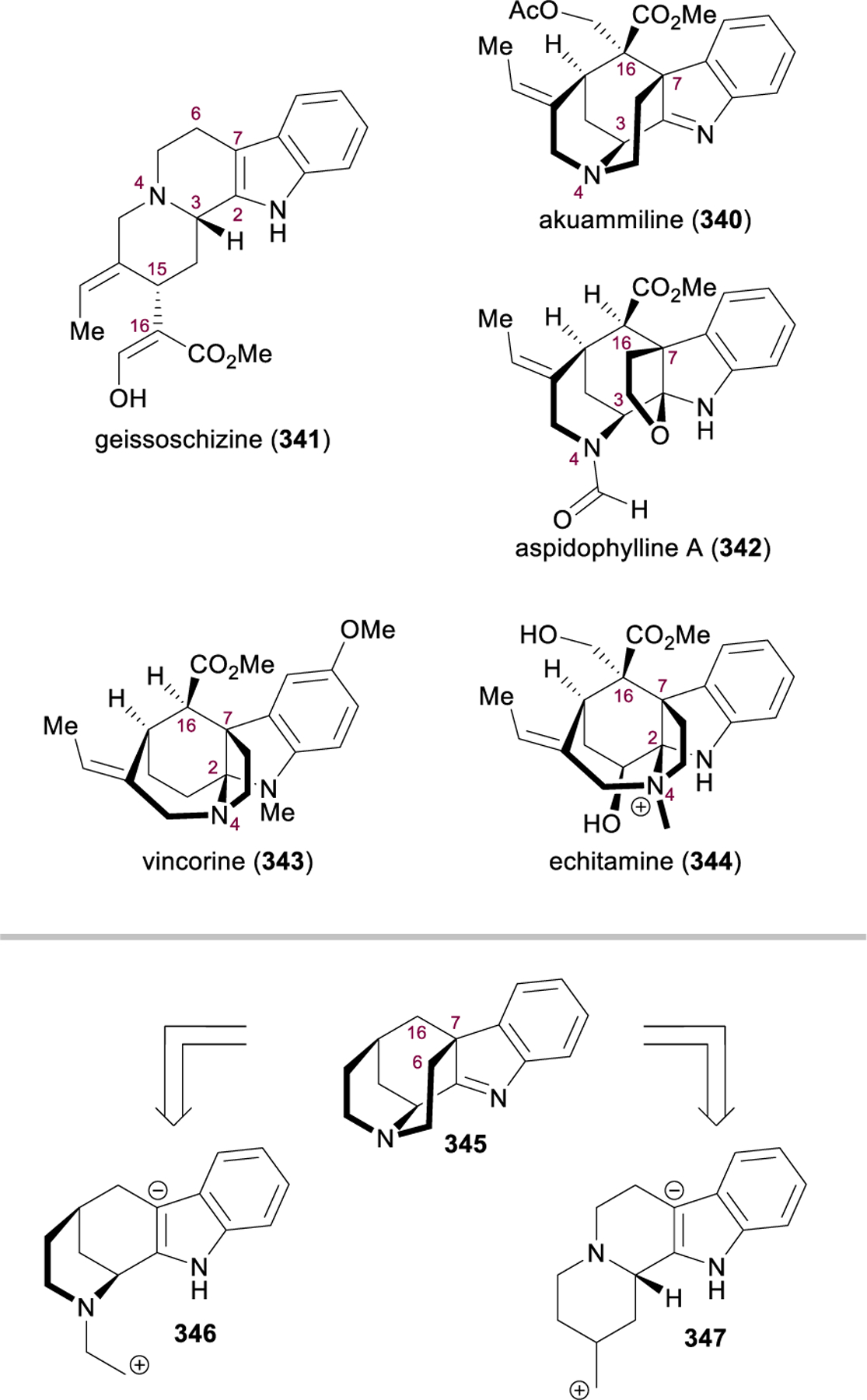 Figure 38.