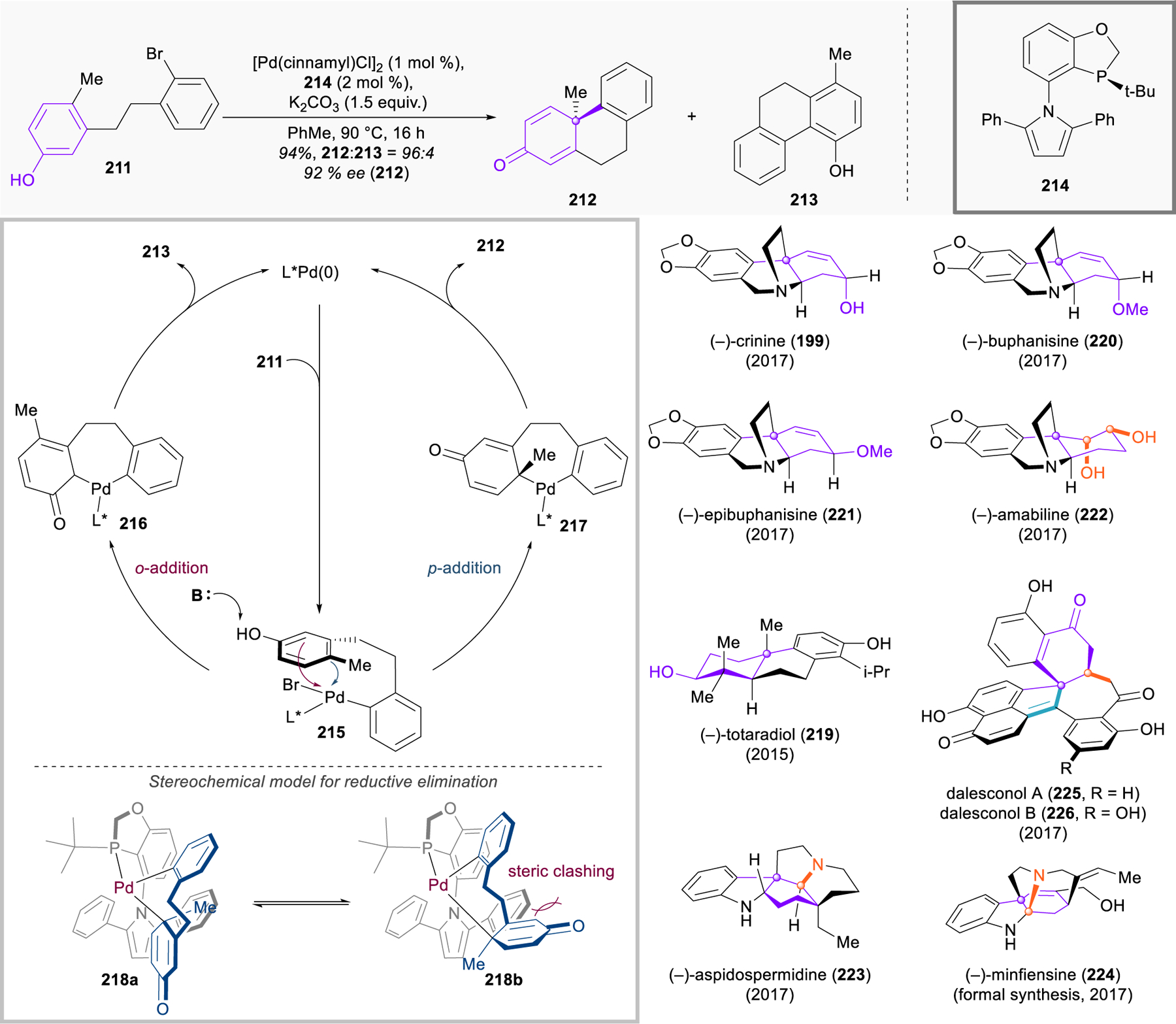 Figure 25.