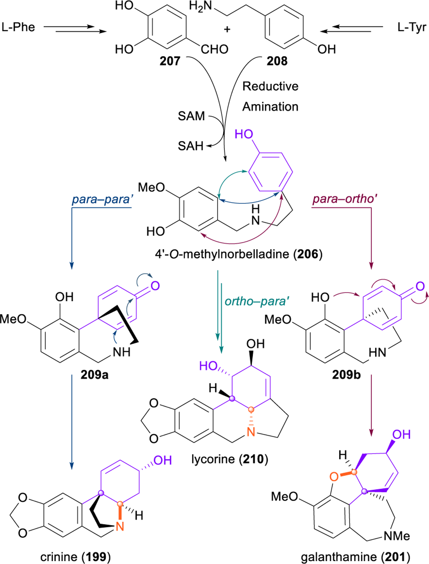 Figure 24.