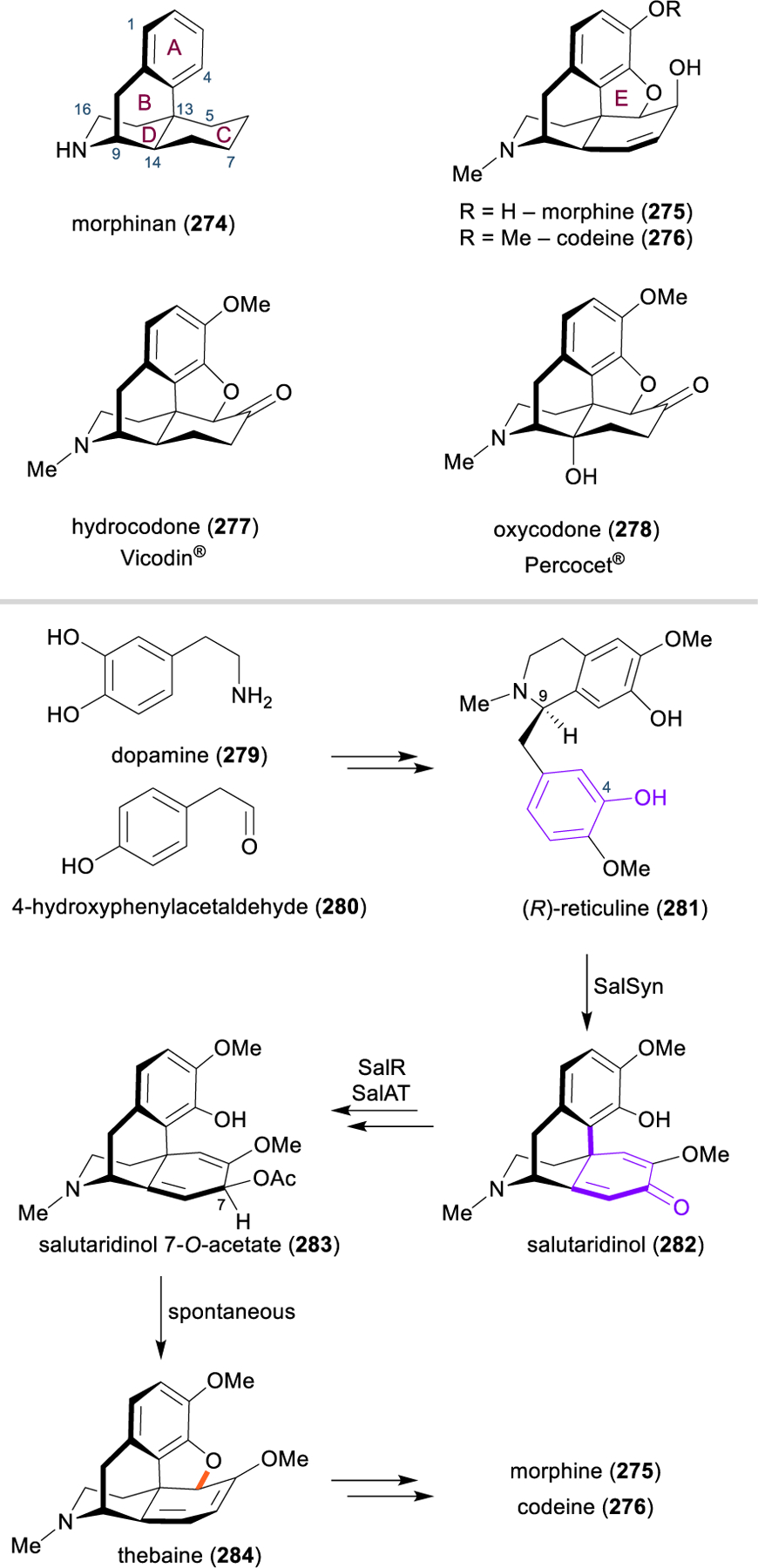 Figure 32.