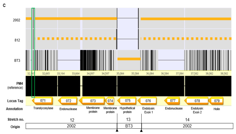 Figure 5