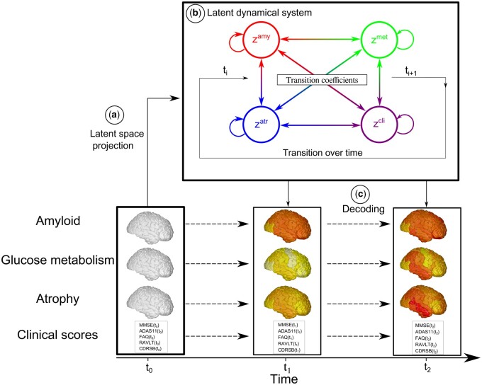 Graphical Abstract