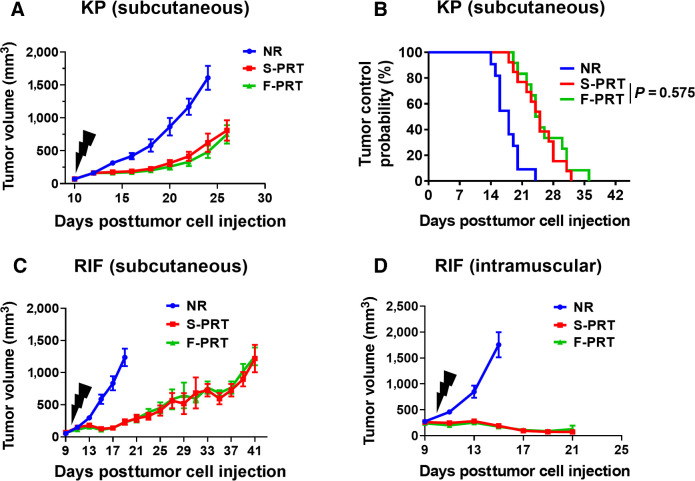 Figure 6. F-PRT and S-PRT are equipotent in treatment of two models of murine sarcoma. A, Growth curve of murine sarcoma established from sarcoma cells isolated from GEMM model LSL-KrasG12D/wt;p53FL/FL and subcutaneously propagated in C67BL/6 mice, followed by irradiation with 12 Gy of F-PRT or S-PRT. N = 9, statistical analysis by log-rank test. B, Tumor control probability following F-PRT vs. S-PRT of the sarcoma-bearing mice with tumors reaching a volume of <500 mm3. N = 13, statistical analysis by log-rank test. C, Growth curve of RIF murine fibrosarcomas subcutaneously propagated in C3H/HeJ mice irradiated with 30 Gy of F-PRT or S-PRT. N = 8 mice per group; statistical analysis by log-rank test. D, Growth curve of RIF tumor propagated orthotopically in the leg muscle (intramuscular) and irradiated with 30 Gy of F-PRT or S-PRT. N = 5 mice per group; statistical analysis by log-rank test. All tumors were irradiated on Day 10 after tumor cell inoculation (black lightning symbol). Data of A, C, and D plot mean ± SD.