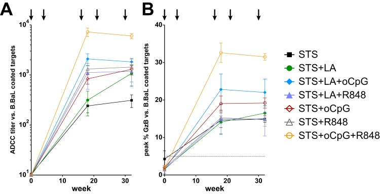 FIG 6