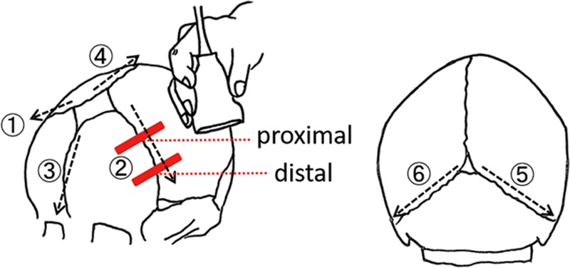 Fig. 1.