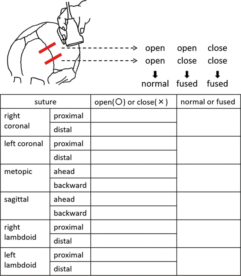 Fig. 2.