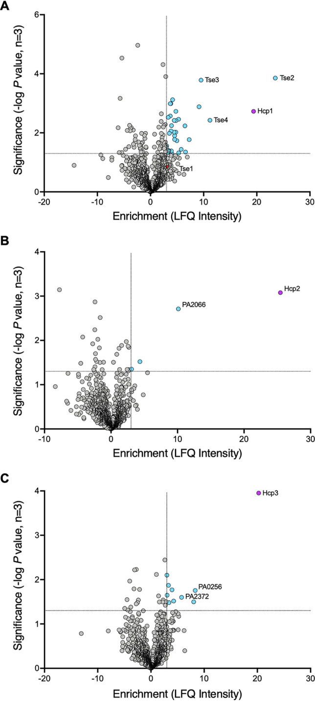 FIG 2