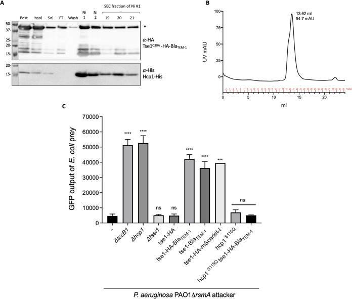 FIG 6