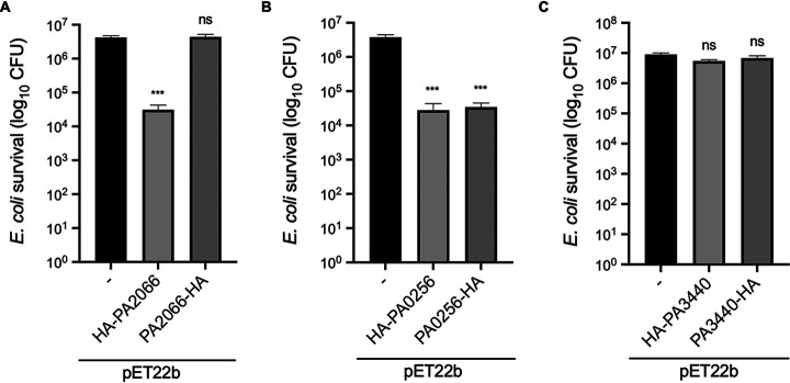 FIG 4