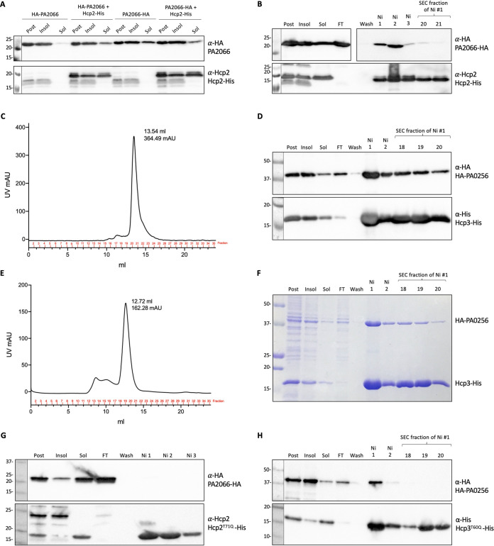 FIG 3