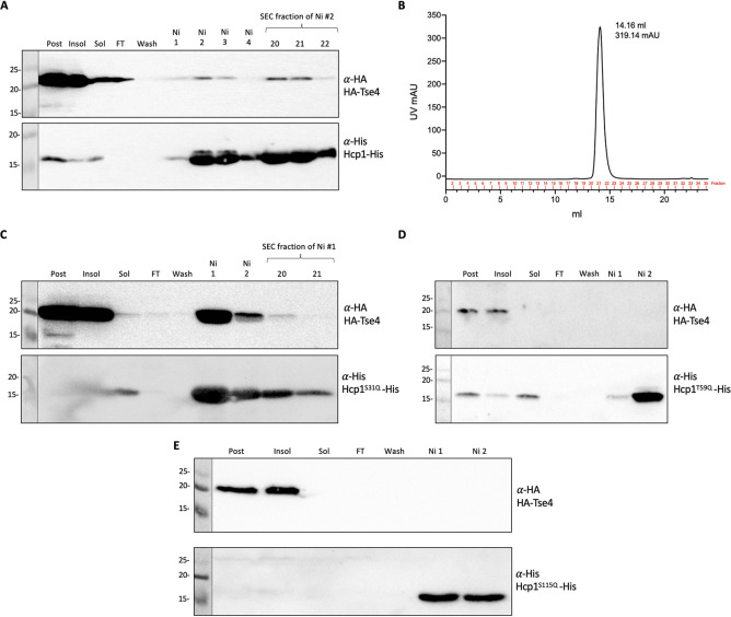 FIG 1