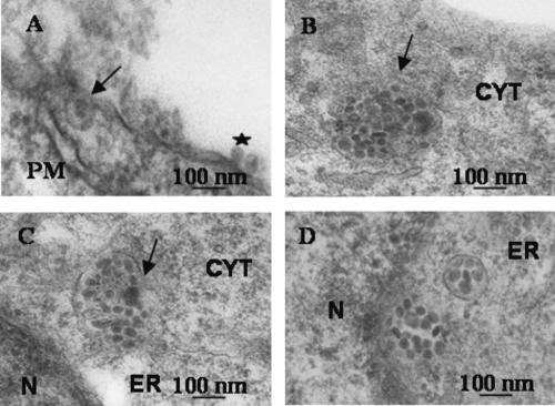 FIG. 7.