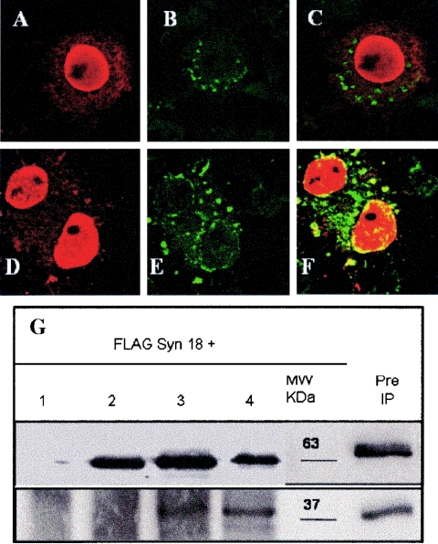 FIG. 3.