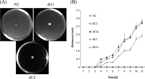 FIG. 2.