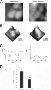 Fig 4