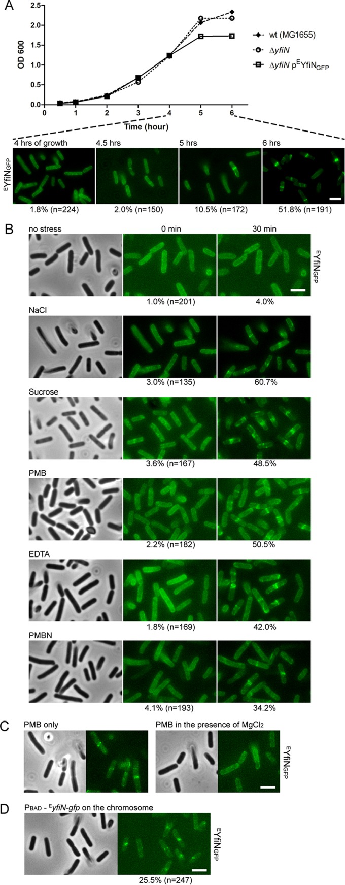 FIG 3 