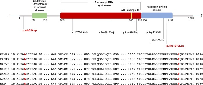 Figure 1.