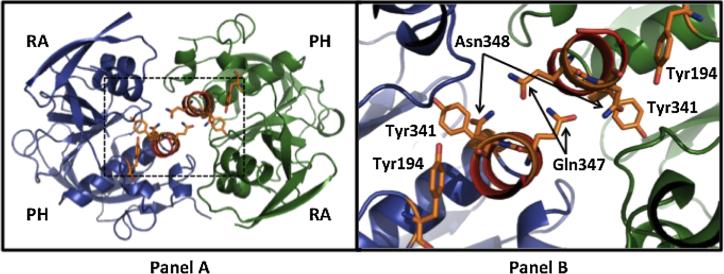 Figure 6