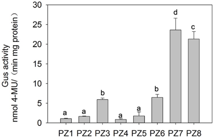 FIGURE 3