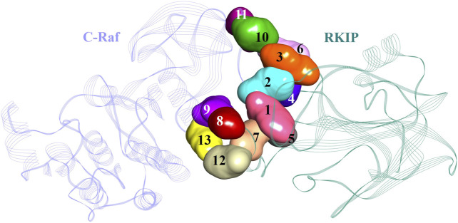 FIGURE 6