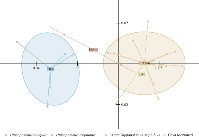 Fig 11