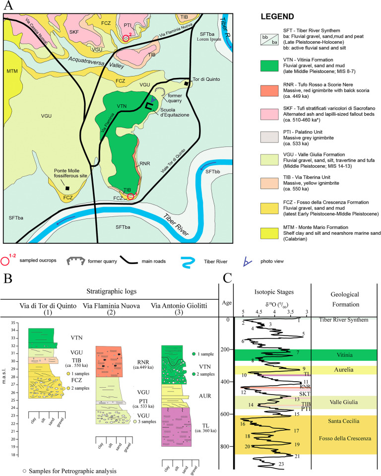 Fig 6