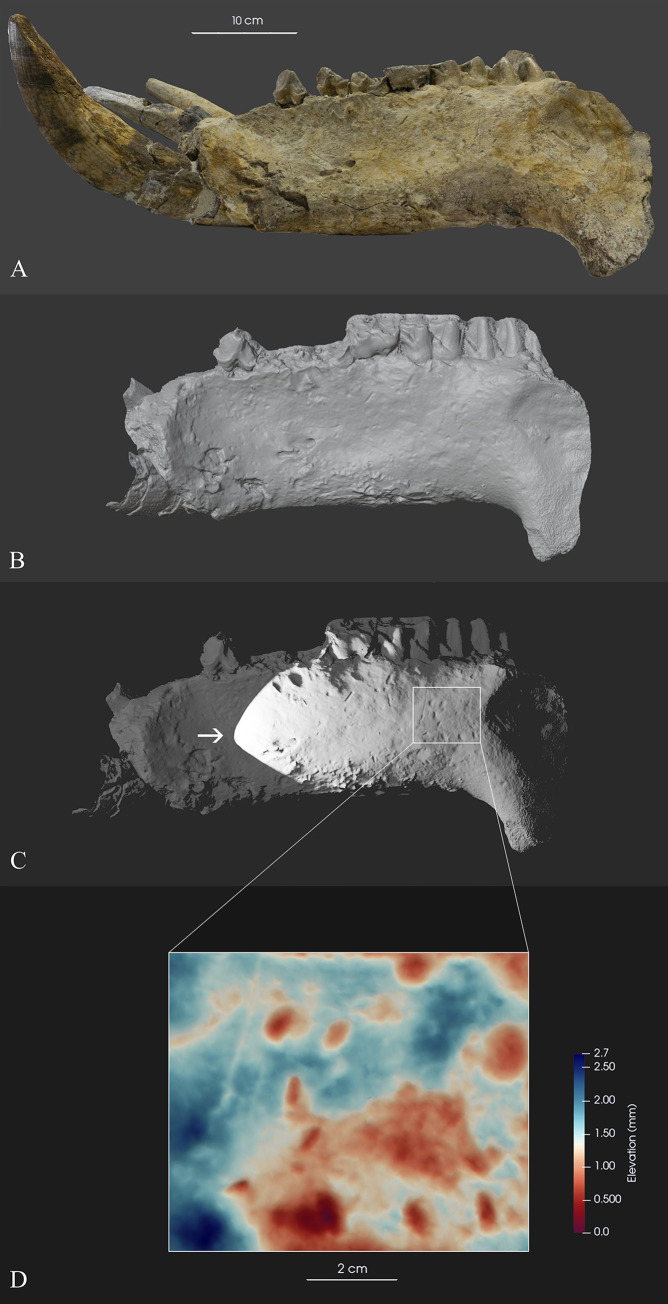 Fig 5