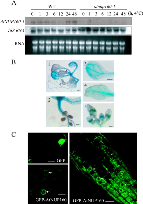 FIG. 6.