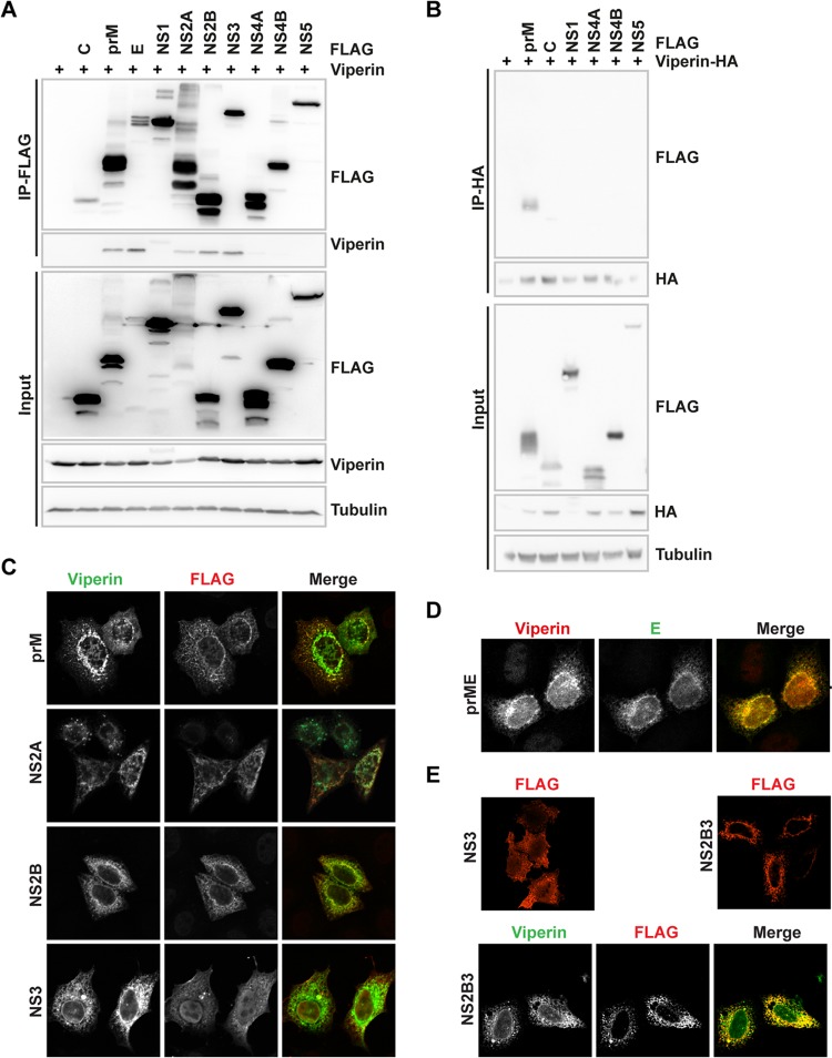 FIG 1