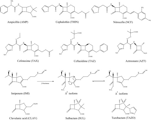 FIGURE 2.