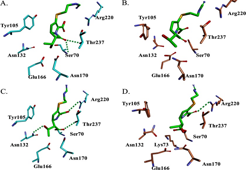 FIGURE 6.