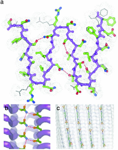 Fig. 3.