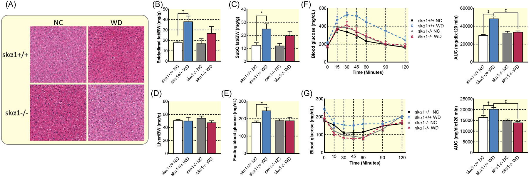 Figure 6: