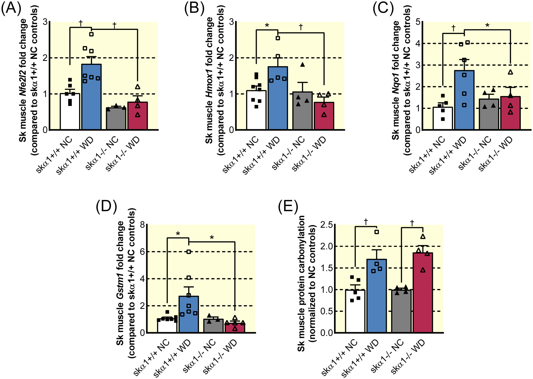 Figure 7: