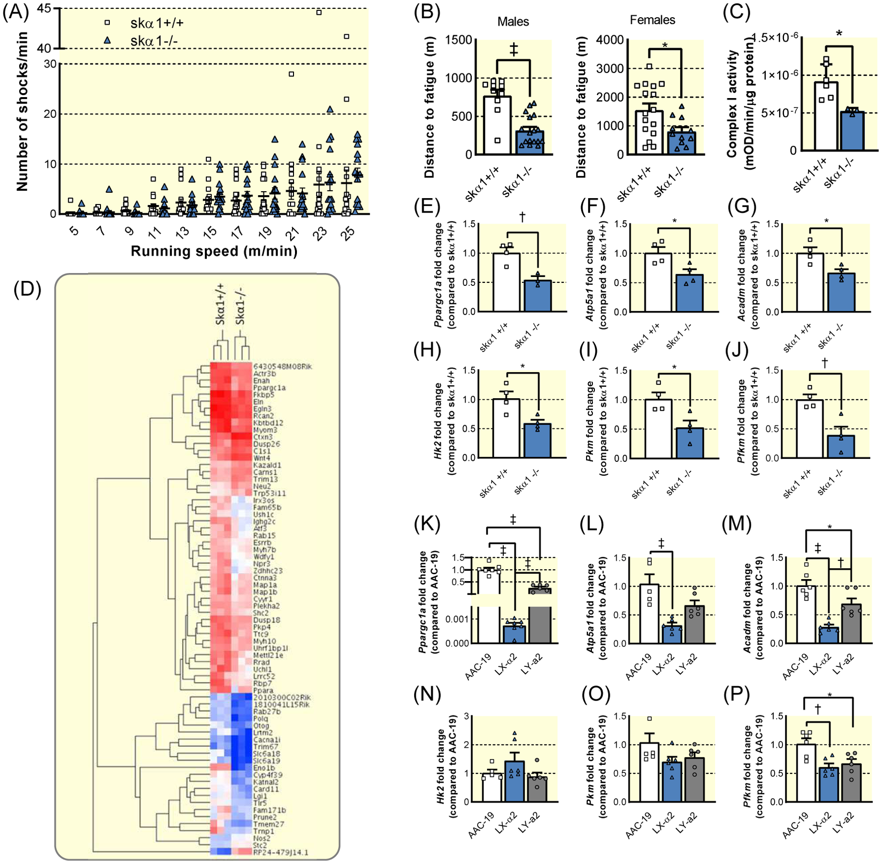 Figure 4: