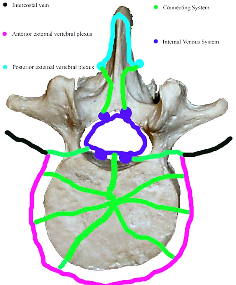 Fig. 1