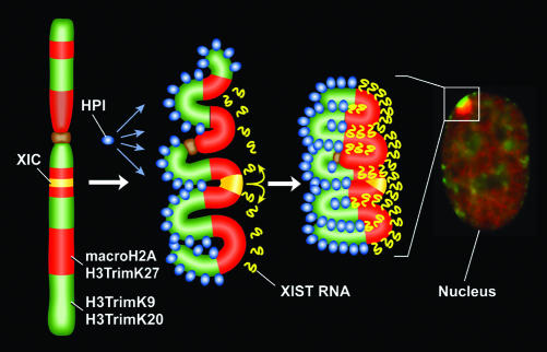 Fig. 4.