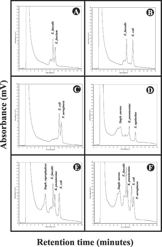 FIG.3.