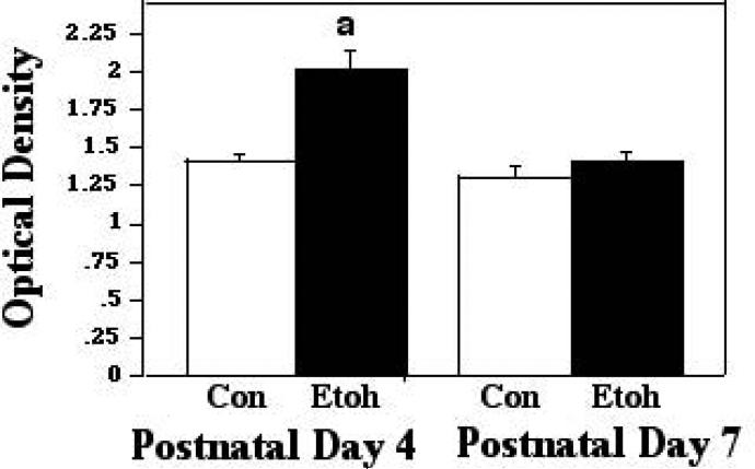 Figure 1A