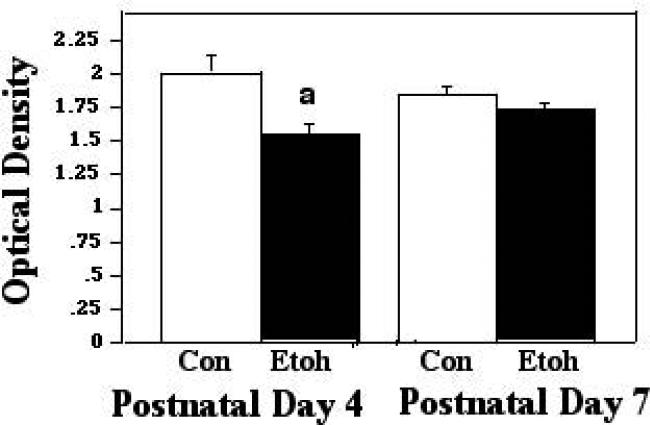 Figure 2B