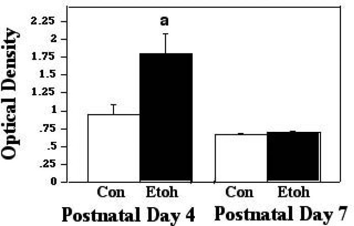 Figure 3B