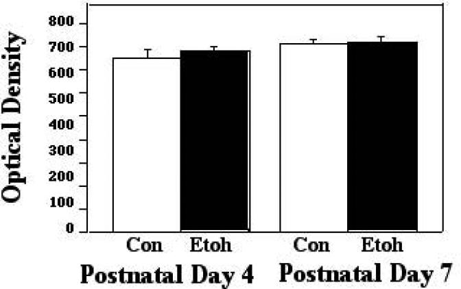 Figure 2A