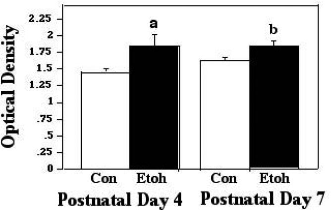 Figure 3A