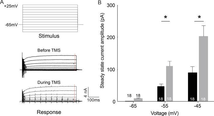 Fig 4