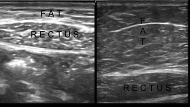 Fig. 7