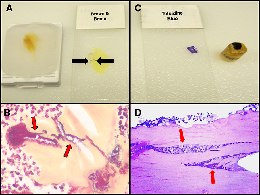 Figure 1: