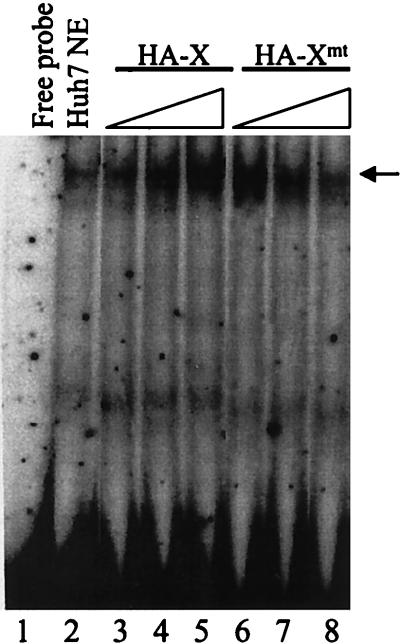 FIG. 5.