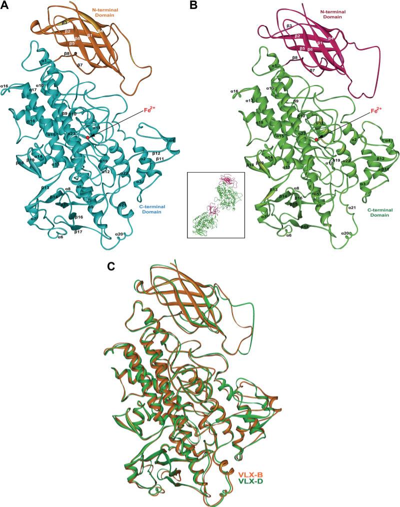 Fig. 3