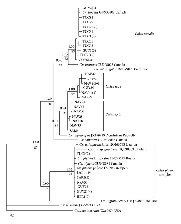 Figure 2