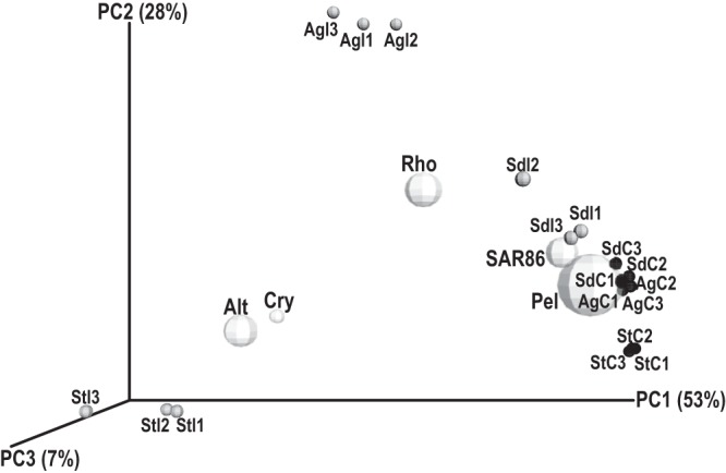 FIG 3